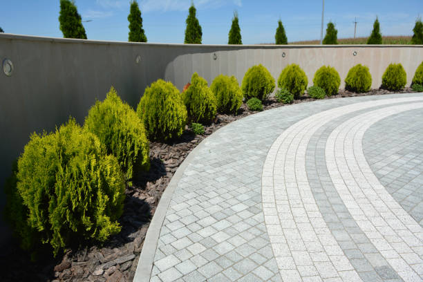 Best Affordable Driveway Paving  in Raubsville, PA